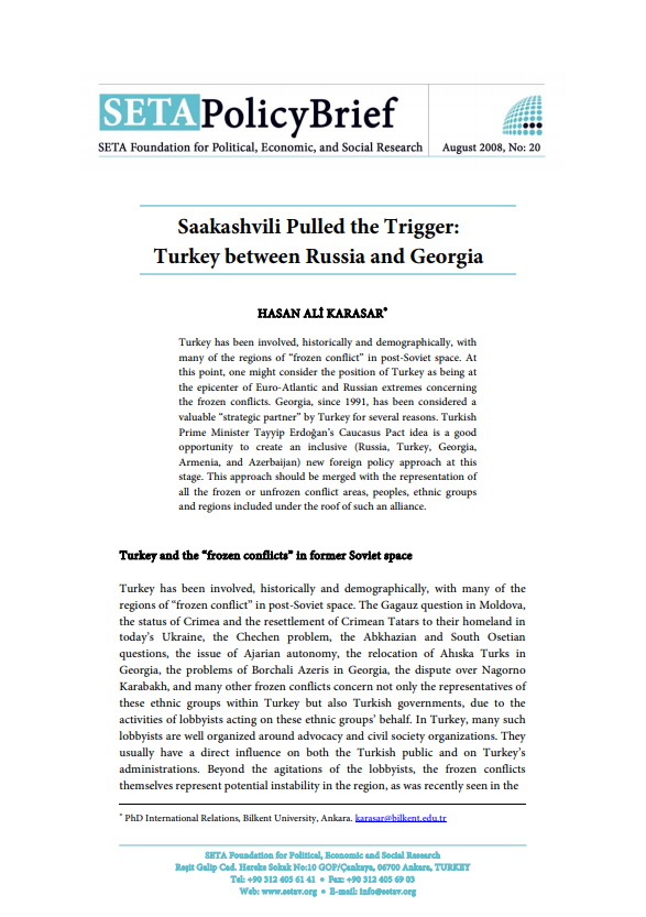 Saakashvili Pulled the Trigger Turkey between Russia and Georgia