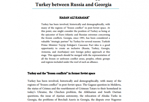 Saakashvili Pulled the Trigger Turkey between Russia and Georgia