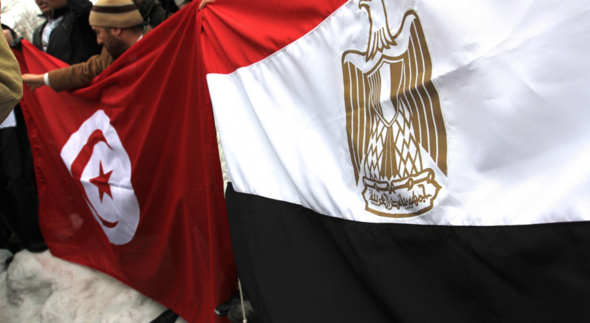 Gradualism and Islamist Experience in Tunisia and Egypt